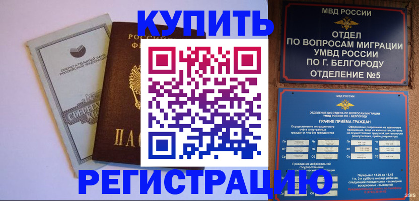 временная прописка в Сольцах